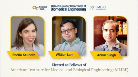 2022 AIMBE Fellows - Keilholz, Lam, Singh