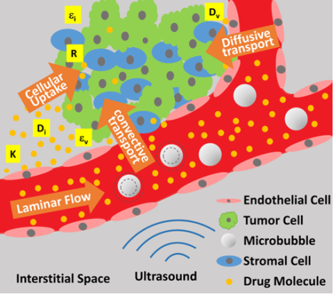 https://neuro.gatech.edu/sites/default/files/Hg_News/Fig_4A_0.png