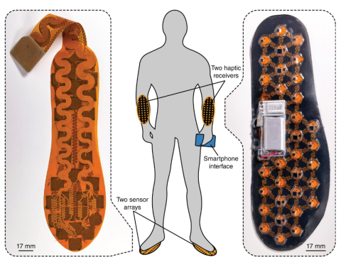Flavin-Device-Schematic.png