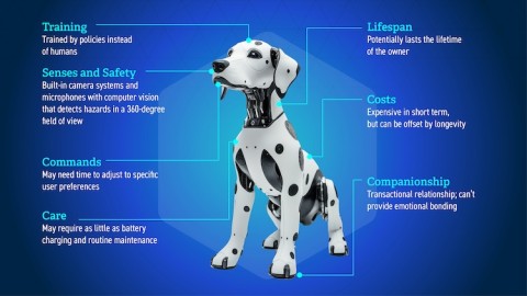 A graphic depicts design considerations for the prototype.