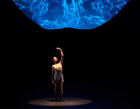 Terminus Modern Ballet Theatre: STEP THE BRAIN ALONG A PATH