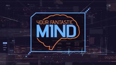 Your Fantastic Mind image