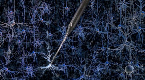 https://neuro.gatech.edu/sites/default/files/Hg_News/forest_autopatching_hires_0_0.jpg https://neuro.gatech.edu/sites/default/files/Hg_News/forest_autopatching_hires_0_0.jpg