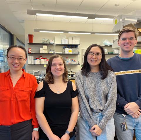 School of Biological Sciences Associate Professor Liang Han (left) with members of her lab, including Laboratory Technicians Katy Lawson (center left) and William Hancock (right), as well as biology Ph.D. student Rossie Nho.