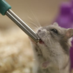 Screenshot 2026-01-23 104448