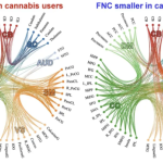 Circular plots show the FNCs (functional network connectivity) that are significantly larger and smaller in the cannabis group, respectively.