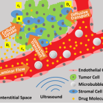 https://neuro.gatech.edu/sites/default/files/Hg_News/Fig_4A_0.png