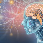 The human brain has 86 billion neurons that make trillions of connections. Grafissimo/DigitalVision Vectors via Getty Images