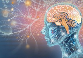 The human brain has 86 billion neurons that make trillions of connections. Grafissimo/DigitalVision Vectors via Getty Images The human brain has 86 billion neurons that make trillions of connections. Grafissimo/DigitalVision Vectors via Getty Images