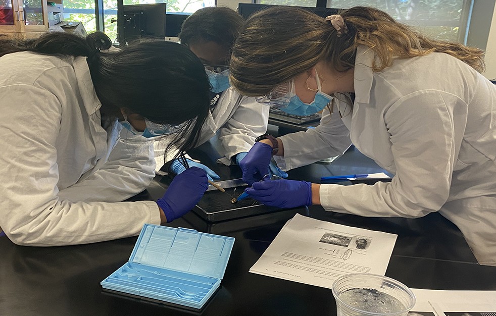 Students working in Neuroscience lab course